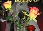 Neujahrsessen 2008